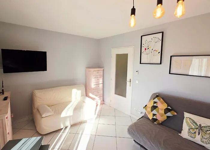 Apartment Climatise - Parking Prive - Emplacement Ideal A Hyères