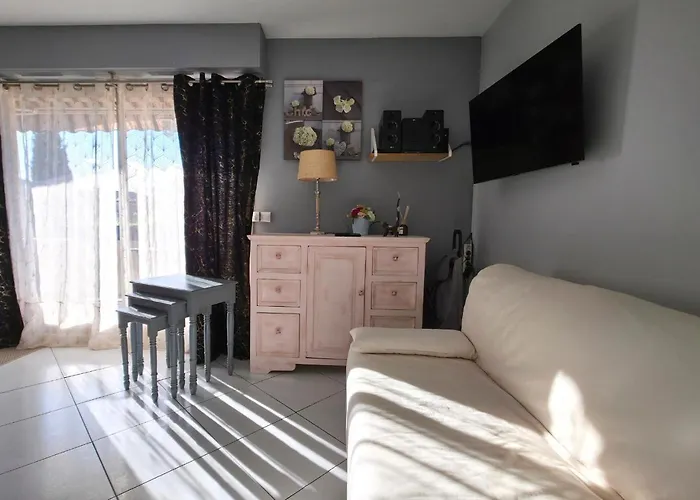 Apartment Climatise - Parking Prive - Emplacement Ideal A Hyères